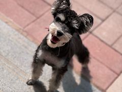 -FAELING PETS美天灵宠物(富力广场店)