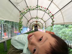 -藏龙百瀑风景区