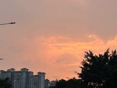 -熊记虾王·小龙虾(东晓南店)