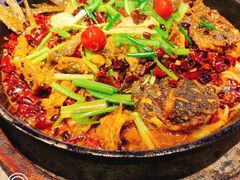 -老板恋上鱼(恒隆广场店)