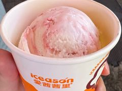 -iceason爱茜茜里·意大利健康冰淇淋(骑龙巷店)
