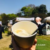 [糖果]玄武湖🌸咖啡节