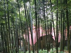 -莫干山风景区