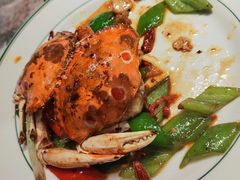 -禄婶鸡煲·打边炉
