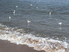 -兴城海滨风景区