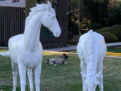 -春晖园度假酒店温泉