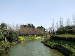 -上海崧泽遗址博物馆