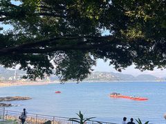 -宝安西湾红树林湿地公园