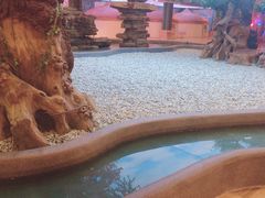 -沈阳龙润夏宫温泉水乐园
