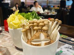 -禄婶鸡煲·打边炉