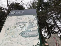 -武汉大学-樱园