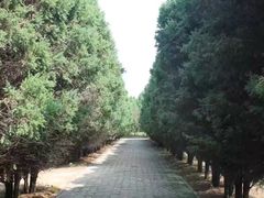 -秦始皇帝陵博物院-丽山园