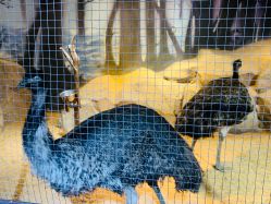 -酷嗒动物文化乐园(cutezoo西溪乐天城店)