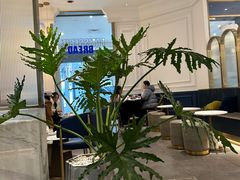 -LE SAPHIR 莎菲尔菓子(和兴店)