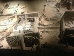 -洛阳周王城天子驾六博物馆