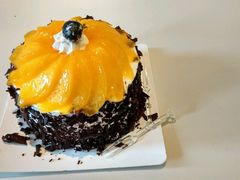 -丽莎蓓甜CAKE生日蛋糕·动物奶油(石家庄店)