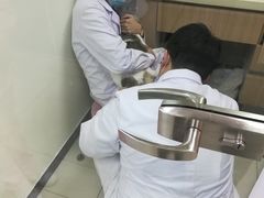 -全心全意连锁动物医院·微创中心·内科急重症·心脏专科(丰管路店)
