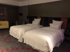 -南京禄口机场雅高铂尔曼大酒店