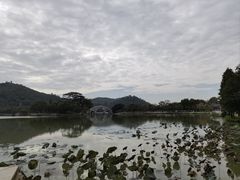 -顺峰山公园