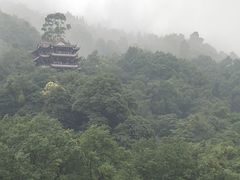 -都江堰中华大熊猫苑