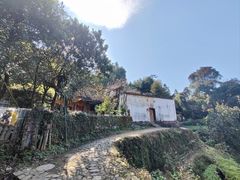 -杨家堂村