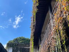 -绍兴鲁迅故里·沈园景区