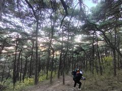 -北京鹫峰国家森林公园
