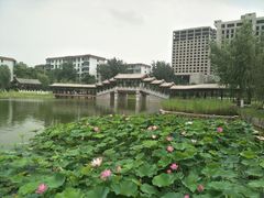 -西海子公园