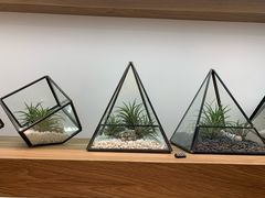 -大馆(前中区警署建築群)