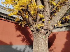 -西安市广仁寺