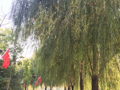 -河北省园博园
