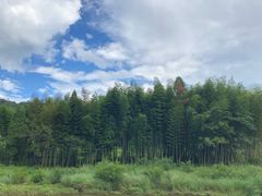 -楠溪江石桅岩