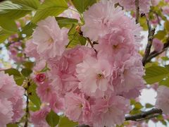 -汉长安城未央宫国家考古遗址公园