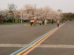 -羊山湖公园