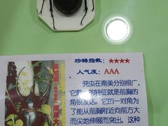 -上海大自然野生昆虫馆(东方明珠·爬宠昆虫探索中心)