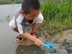 -昆山城市生态森林公园