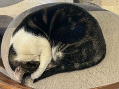 -Peet's Coffee皮爷咖啡(豫园店)