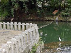 -荔枝公园(福田区)