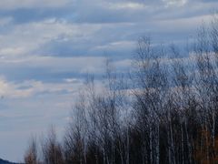 -北极村旅游风景区