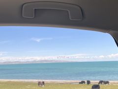 -青海湖国家重点风景名胜区