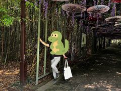 -苏州太湖国家湿地公园