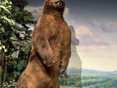 -陕西自然博物馆