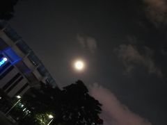 -天河体育中心游泳馆