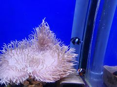 -海合安武汉极地海洋公园