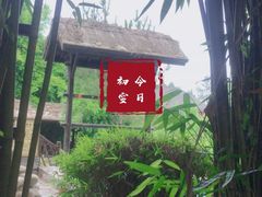-崇阳三特浪口温泉