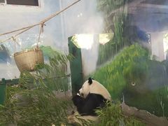 -无锡动物园·太湖欢乐园