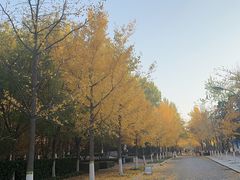 -原麦山丘(凯德MALL·大峡谷店)