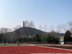 -北坞公园