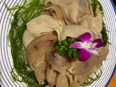-一斗火锅·招财羊毛肚(北温泉九号店)