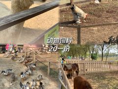 -盈香心动乐园